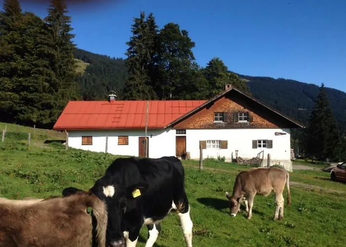 Steinmueller Apartamento *